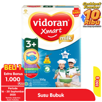 Vidoran Xmart 3