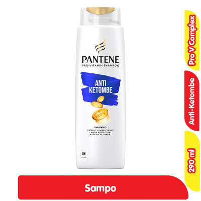 Promo Pantene Sampo Anti Ketombe Botol 290 ml Alfamart