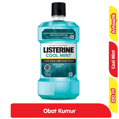 Promo Listerine Obat Kumur Antiseptik Cool Mint 250 ml Alfamart