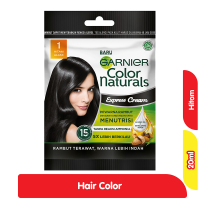 Promo Harga Garnier Hair Color 1 Hitam Alami 40 ml - Alfamart