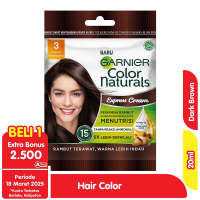 Garnier Hair Color