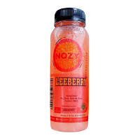 NOZY Juice Leeberry Pet 280 ml