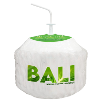 Bali Whole Young Coconut
