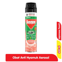 Baygon Insektisida Spray