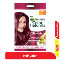 Garnier Hair Color