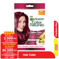 Garnier Hair Color