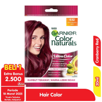 Garnier Hair Color