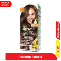 Garnier Hair Color