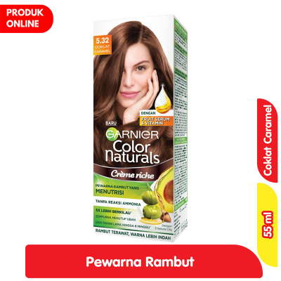 Promo Garnier Creme Riche Pewarna Rambut 5.32 Coklat Caramel 55 ml Alfamart