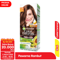 Promo Harga Garnier Hair Color 5.32 Coklat Caramel 105 ml - Alfamart