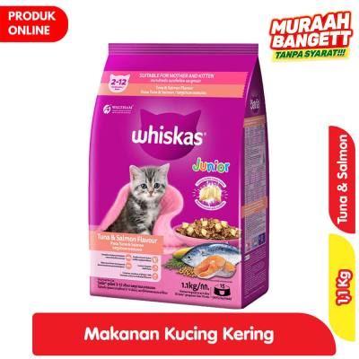 Promo Whiskas Junior Makanan Kucing Kering Tuna Salmon 1.1 Kg Alfamart
