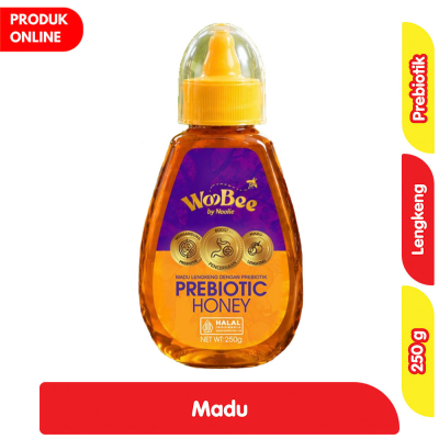 Promo Noolie Madu Lengkeng Prebiotik 250 g Alfamart